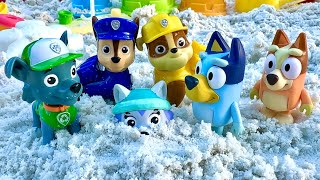 The Beach - Bluey toys Pretend play with Paw Patrol