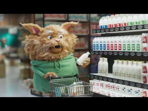 Just Used Confused, Feels Like The Cat That Got The Cream | 20s