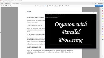 Organon with Parallel Processing