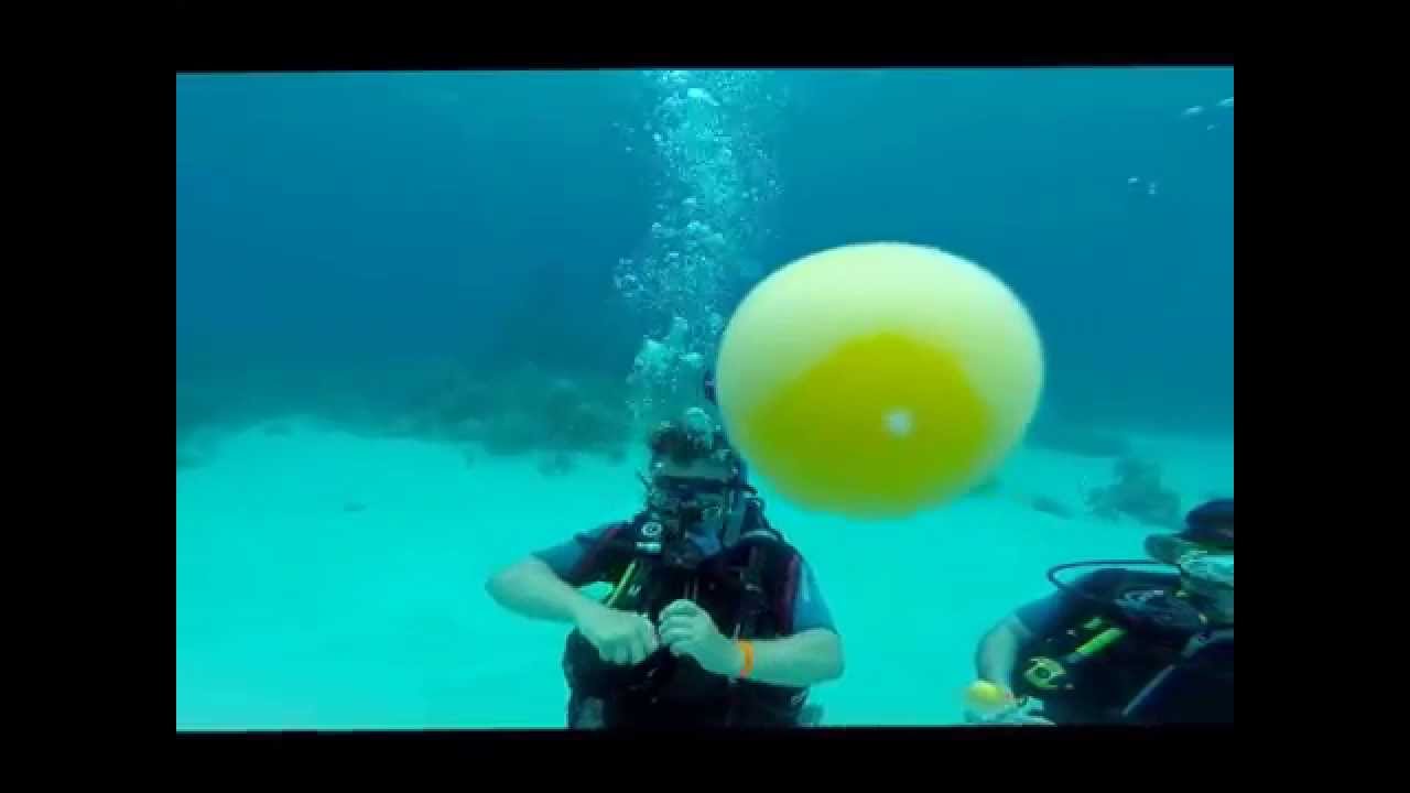 Cracking eggs underwater YouTube