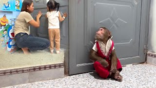 Too Funny! Mom and Yen Nhi Awkwardly Apologize to CUTIS