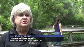 Good Morning Texas on Tour: McLennan County - Cameron Park Zoo
