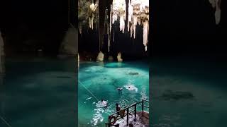 Cenote Xcanahaltún, 35 minutos al norte de Valladolid, en Temozón, Yucatán.
