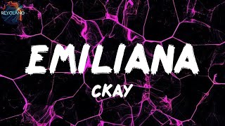 Ckay  Emiliana  Joeboy Rema s