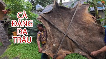 Da trâu khô làm món cà đắng đặc sản Tây Nguyên