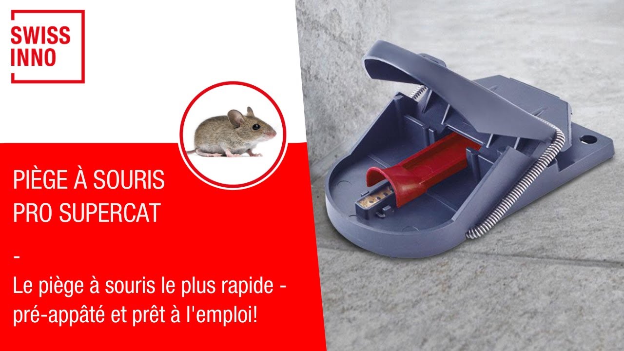 Piège à Campagnols SuperCat Par Swissinno - Double Ressort Breveté, Réutilisable Et Sans Poison - Idéal Pour Rats Des Champs Et Mulots