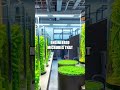 Insights into Emerging Technologies