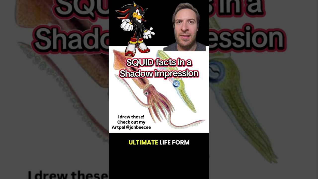 Кальмары могут редактировать свои гены? С участием Шэдоу (имитация).