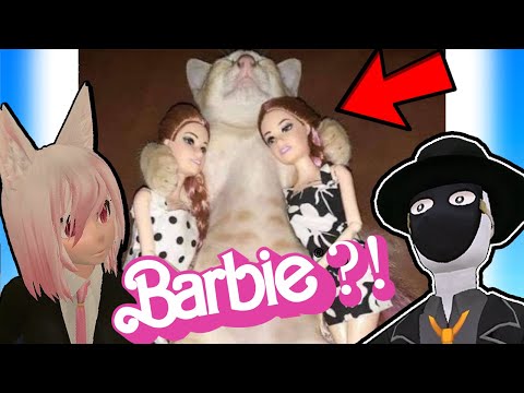 O Filme da Barbie é isso ai?! Videos engraçados bem curtos