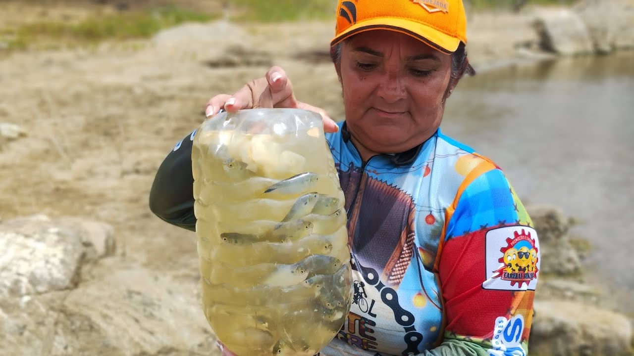 fartura na pescaria. teve tilápia e bastante piaba as biaba hoje veio canal cantinho da Pedra 