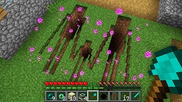 HOW NOOB FOUND FAMILY ENDERMAN TUNNEL IN VILLAGE!? Minecraft NOOB vs PRO! 100% TROLLING CAVE TRAP