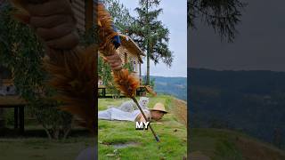 Unbelievable Animal Bond 😱 The Obedient Cat &amp; Monkey's Love