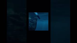 What if Lusitania missed the torpedo?