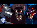 Scooby-Doo! en Latino | Perros callejeros monstruosos 🐶 | WB Kids