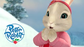 Peter Rabbit - Making Friends with Lily Bobtail | Cartoons for Kids Net Worth