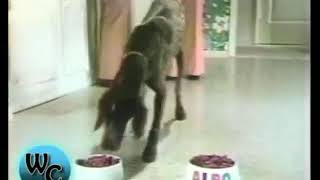 1974 Alpo Dog Food Commercial