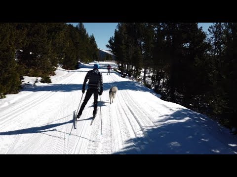 Video: Cómo Esquiar De Fondo