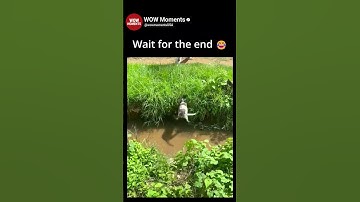 Wait for the end 😂 #shorts