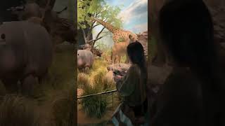 Publication Date: 2026-03-04 | Video Title: 杯澳公立學校 四川學習團2026 Bui O Public 