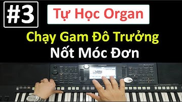 #3 | Chạy Gam Đô Trưởng Nốt Móc Đơn | Hướng Dẫn Tự Học Organ | Tuấn Lưu Organ |