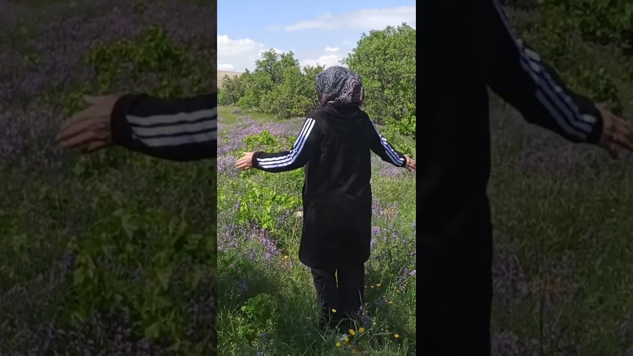 Yozgat'ın yogunhisar KÖYÜ bağlarımızı gezdik