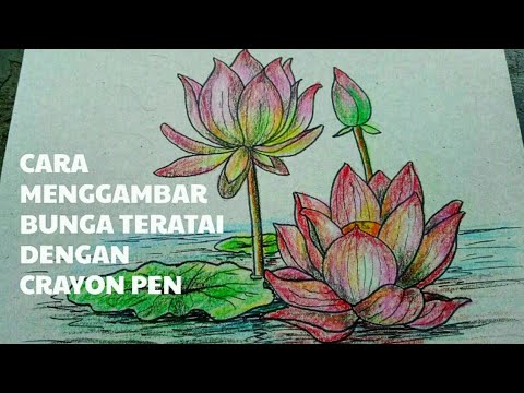  Cara Menggambar Bunga Teratai Dengan Krayon Pen di Kertas 