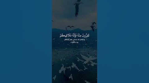 سورة الجمعة | ماهر المعيقلي