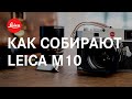 Как собирают Leica M10