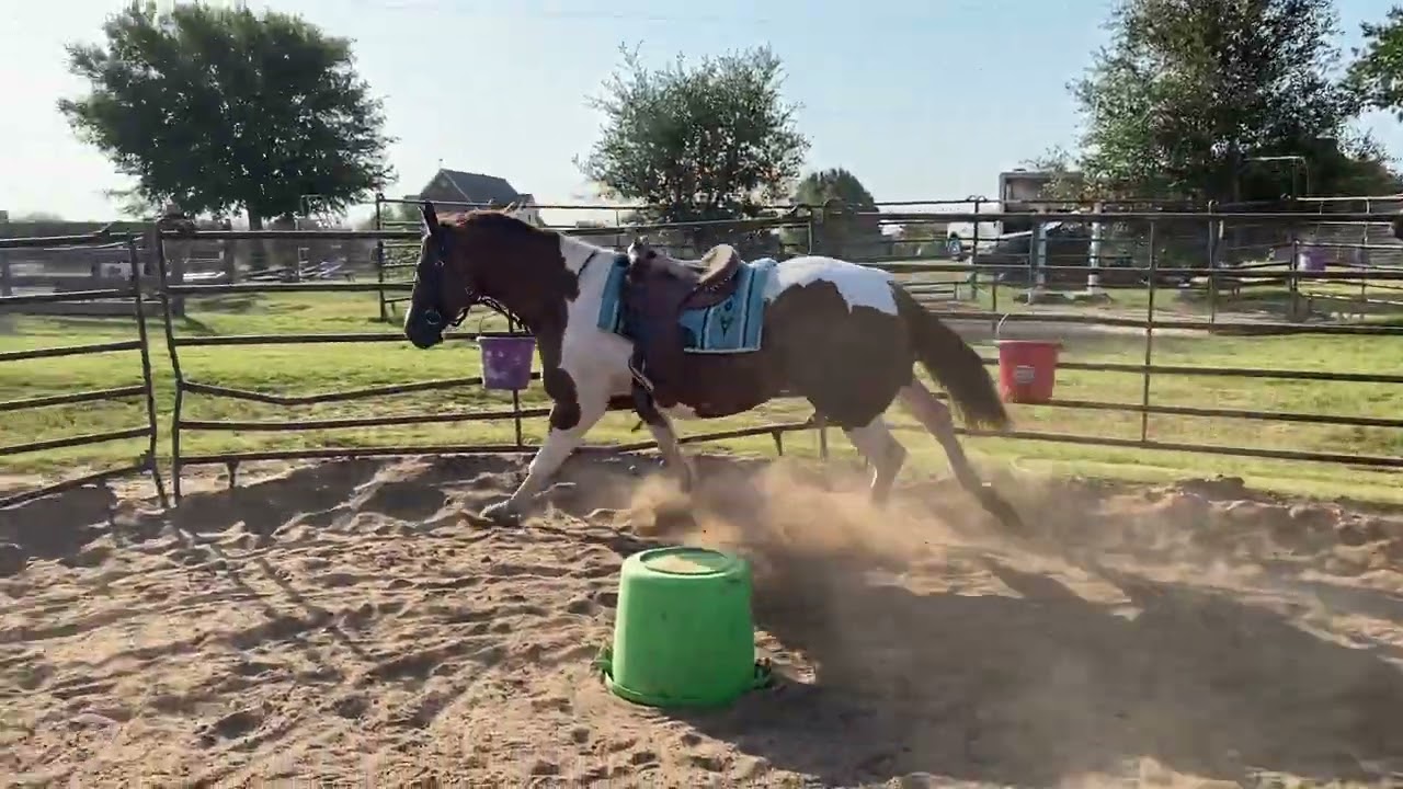 CMF Sweet Talkin’ Gal