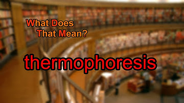 What does thermophoresis mean?