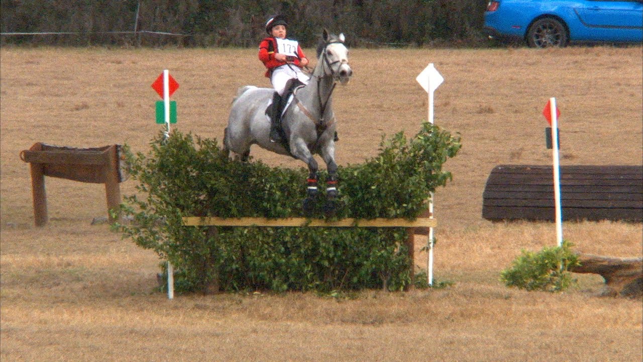 Autumn Smith "Mercury" Rocking Horse Winter 1 Horse Trials (OP) 127