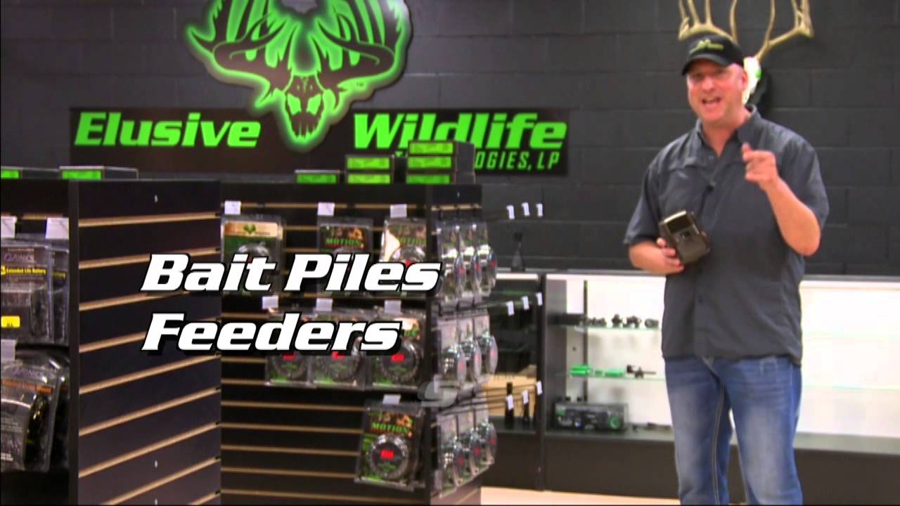 Blind Side R Feeder/Bait Light