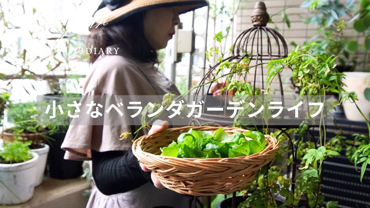 マンションベランダガーデニング|ハーブコーナーを作る|レトロな喫茶店でモーニング｜美味しいお茶とお菓子でティータイム