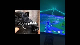 Pebble