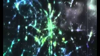AMV Good Bye [K project]