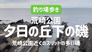 【神奈川の釣り場】荒崎公園夕日の丘下の磯