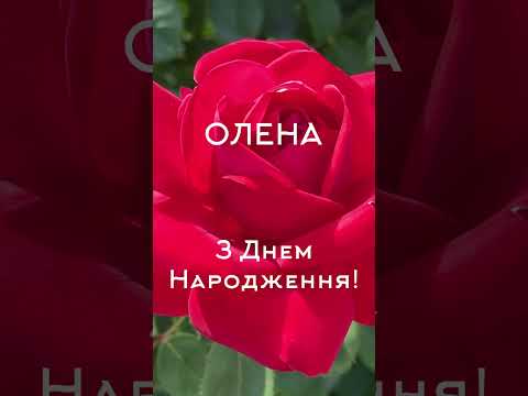 ОЛЕНА, З ДНЕМ НАРОДЖЕННЯ! Привітання для Олени 🌹 #зднемнародження #привітання #олена #альона