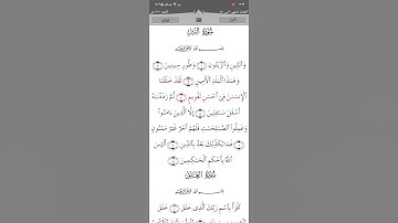 ﷽ سورة التين تلاوة القرآن القارئ 🎙️سعد الغامدي