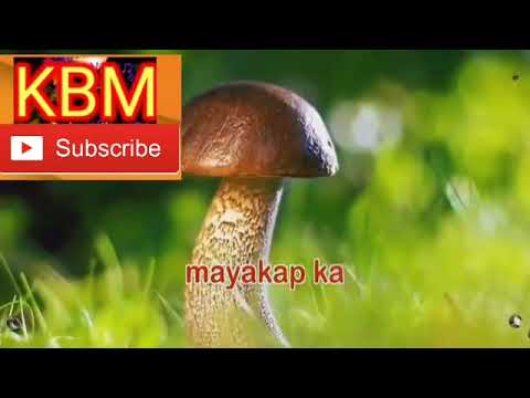 TAGALOG KARAOKE SONG With lyrics  YouTube
