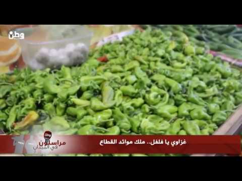 غزاوي يا فلفل ملك موائد القطاع