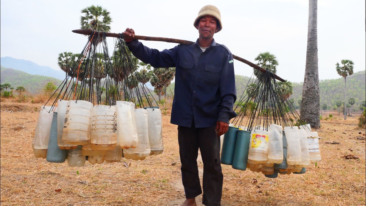 Part 1: How to make Cambodian palm sugar by the couple|CambodianTraditionalSugar| 