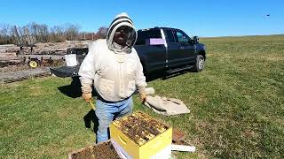 2023 Spring Single brood Chamber setup