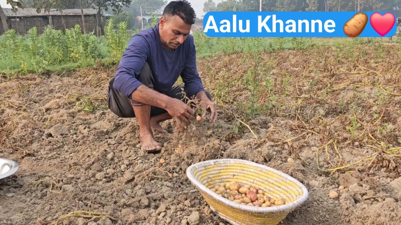 Papa Ko Le Aaye Aalu Khanne 😍 Full Vlog | Mr.pradeep vlogs |