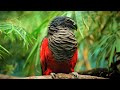 10 Beautiful Exotic Birds You Won't Believe Actually Exist