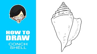 How to draw Conch Shell