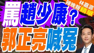 罵趙少康? 郭正亮喊冤 | 年輕人不喜歡國民黨?羅智強:可是年輕人喜歡徐巧芯和我【林嘉源辣晚報】精華版@中天新聞CtiNews