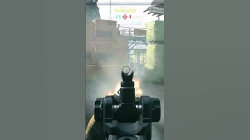 How It Feels To Get Flashed In MW2