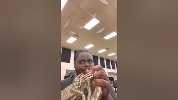 pov: the band director put a tuba player on french horn pt. 2