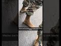 Will Anyone Notice Marines Funny Military Will Anyone Notice Marines Funny Military