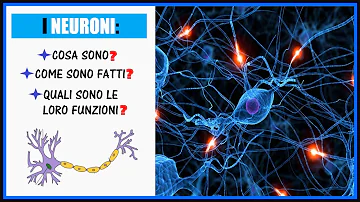 Cosa sono in neuroni?